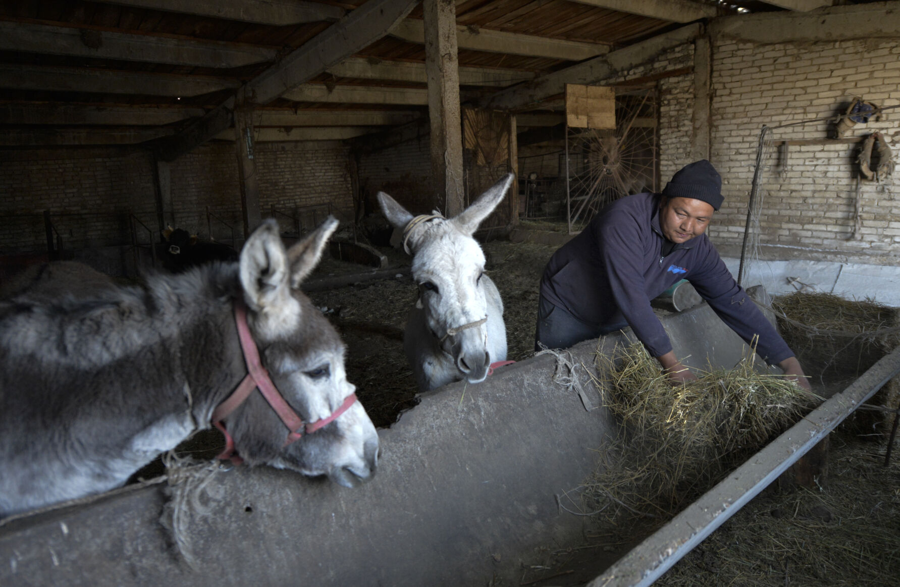 Kyrgyzstan Village Photo Gallery